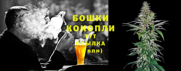 spice Дмитриев