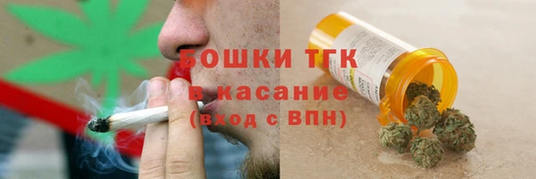 spice Дмитриев