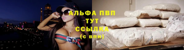 spice Дмитриев