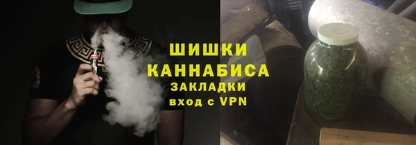 spice Дмитриев