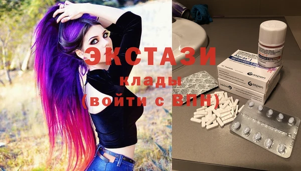 spice Дмитриев