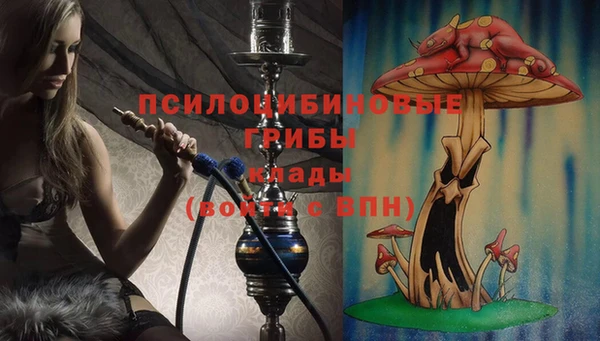 spice Дмитриев