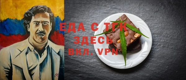 spice Дмитриев